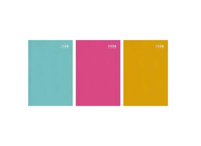 Diary A4 WTV Bright Casebound Assorted 1 count