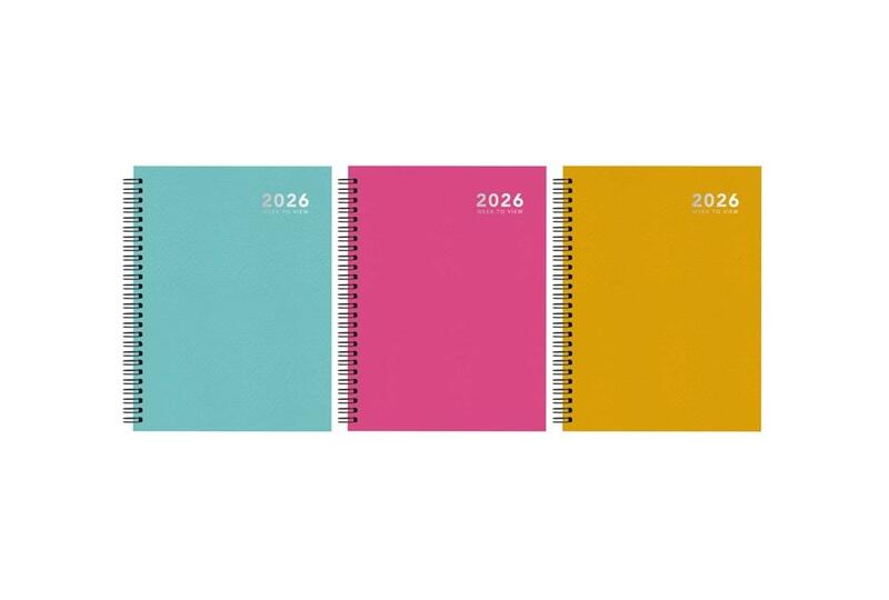 Diary A5 WTV Bright Wire Assorted 1 count