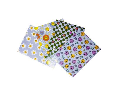 Smiles Paper Portfolio Assorted