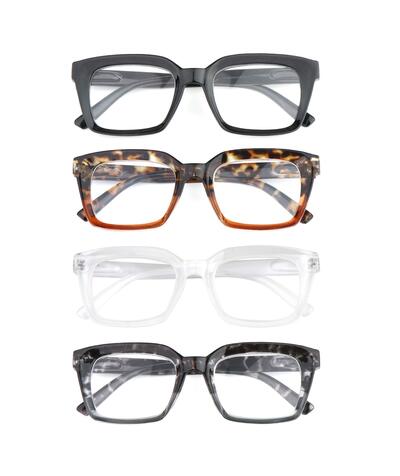 Zinnia Frame Spring Assorted 1 piece