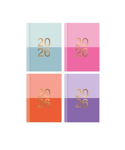 Diary Pocket WTV Assorted 1 count