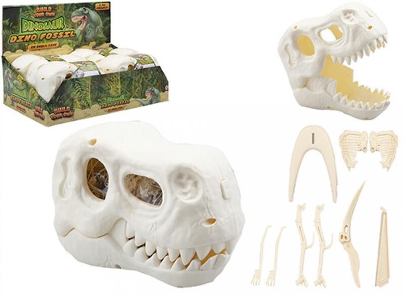 Dino Fossil Skeleton Diy Skull Case 6pc