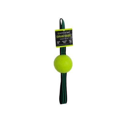 Hyper Pet Grab Tab Eva Green Dog Toy
