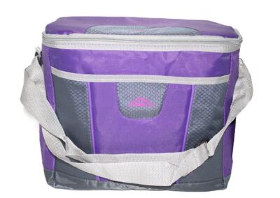 Polar Pack 24 Can Cooler
