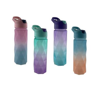 Life Art Plastic Water Bottle 1 count