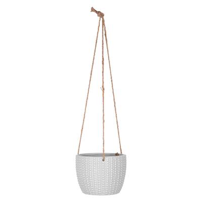 Wild decor Hanging Planter